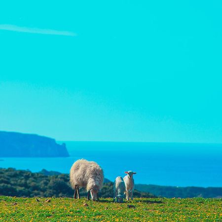 Agriturismo Il Ginepro Fluminimaggiore Eksteriør billede