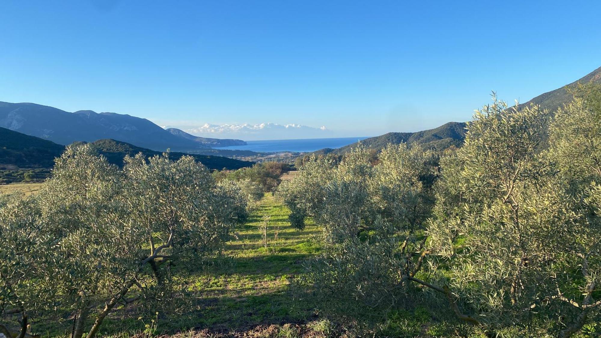 Agriturismo Il Ginepro Fluminimaggiore Eksteriør billede