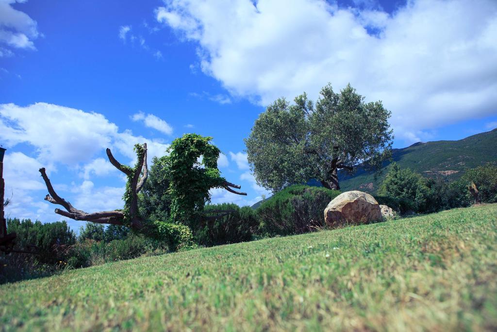 Agriturismo Il Ginepro Fluminimaggiore Eksteriør billede