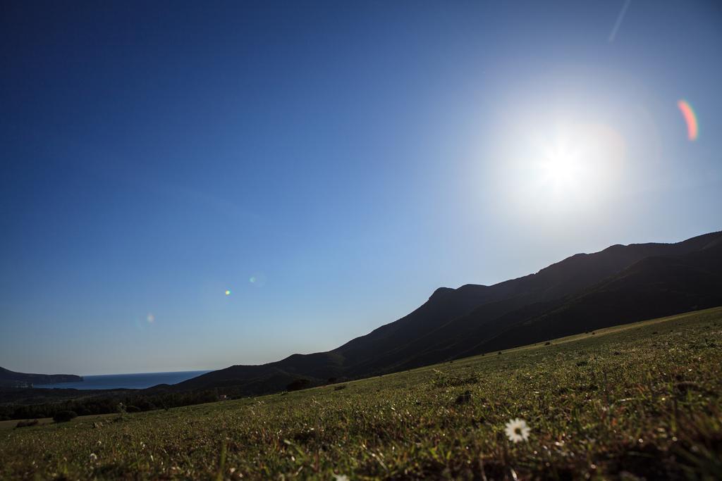 Agriturismo Il Ginepro Fluminimaggiore Eksteriør billede