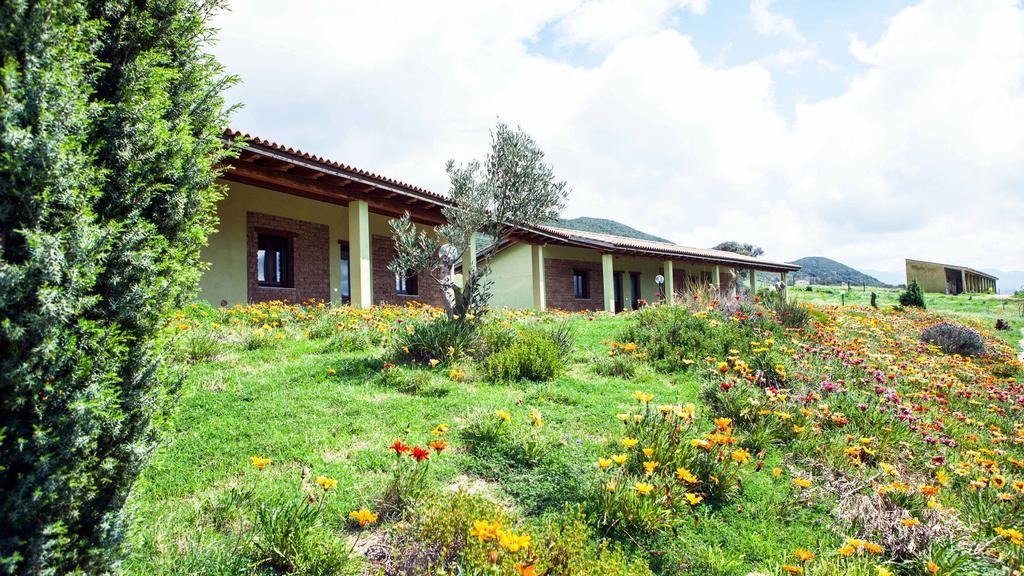 Agriturismo Il Ginepro Fluminimaggiore Værelse billede