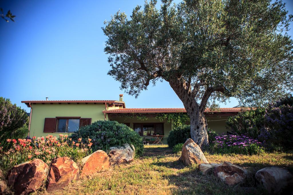 Agriturismo Il Ginepro Fluminimaggiore Eksteriør billede