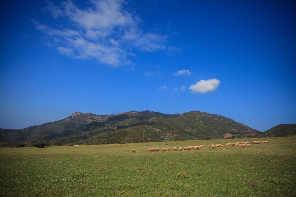 Agriturismo Il Ginepro Fluminimaggiore Eksteriør billede