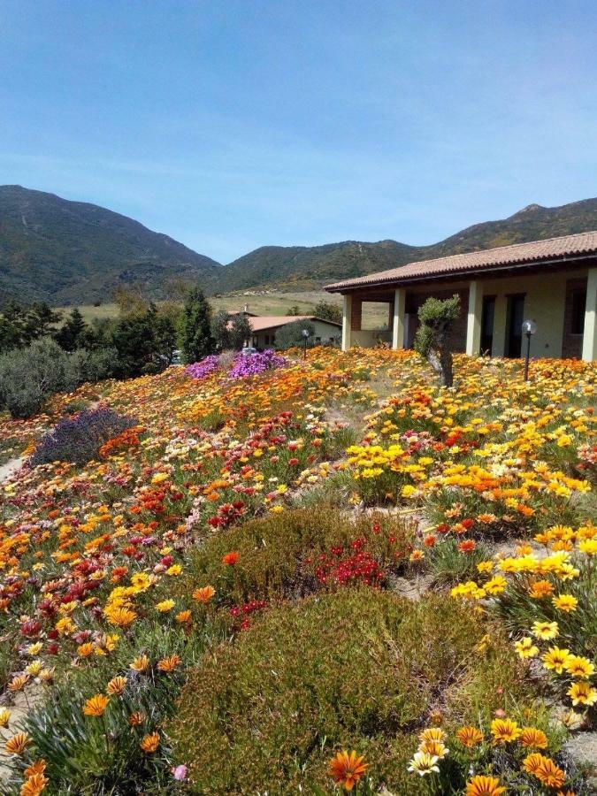 Agriturismo Il Ginepro Fluminimaggiore Eksteriør billede