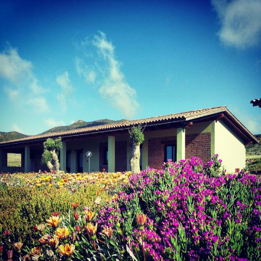 Agriturismo Il Ginepro Fluminimaggiore Eksteriør billede