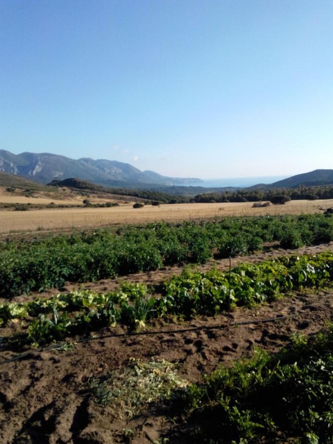 Agriturismo Il Ginepro Fluminimaggiore Eksteriør billede